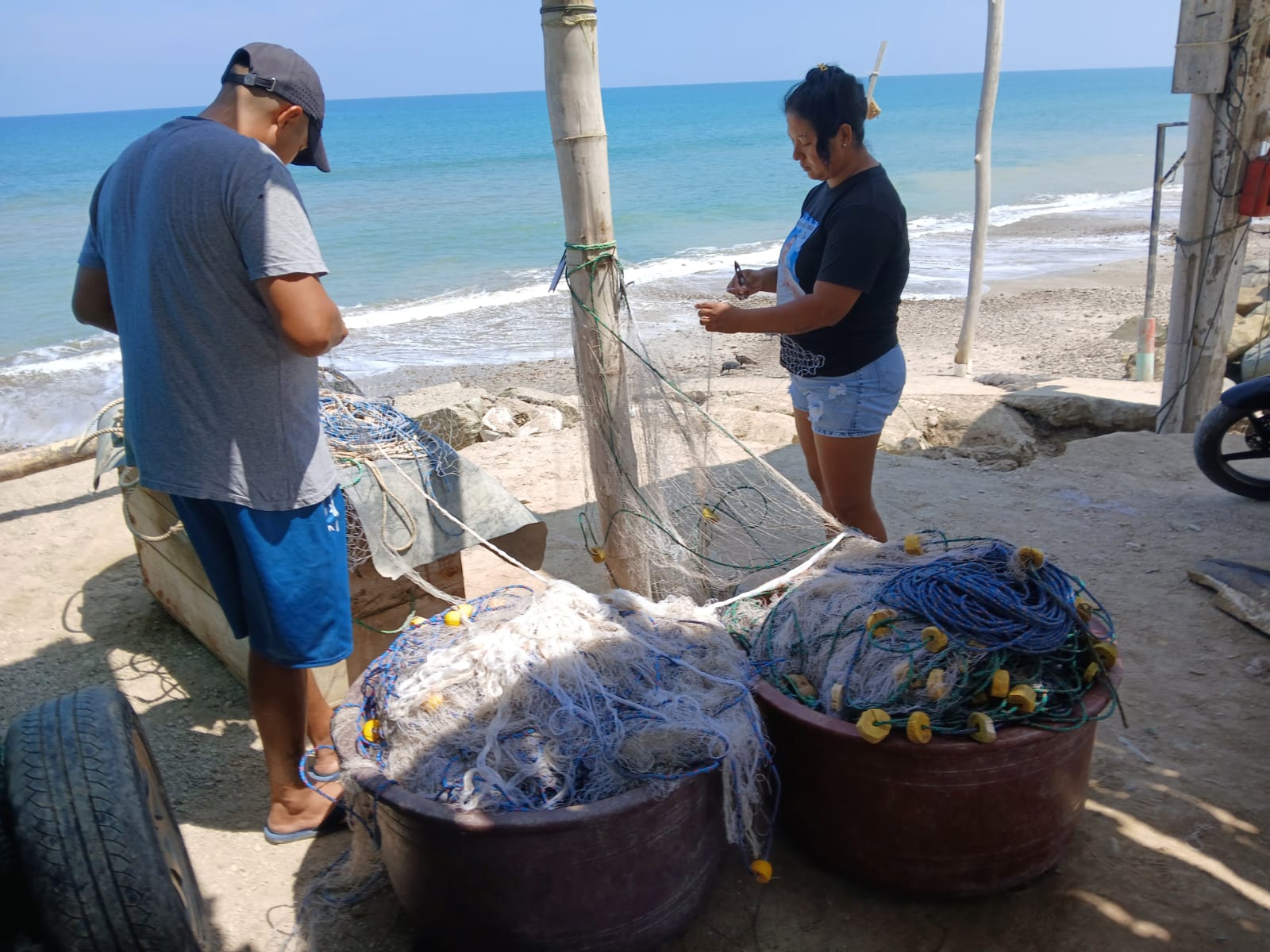 Conservación - Imagen 4